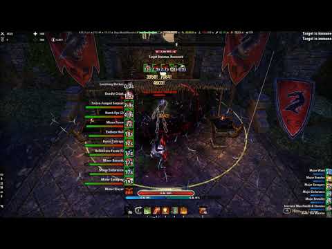 Elder Scrolls Online - Stamina Nightblade DPS Test (45,7k)