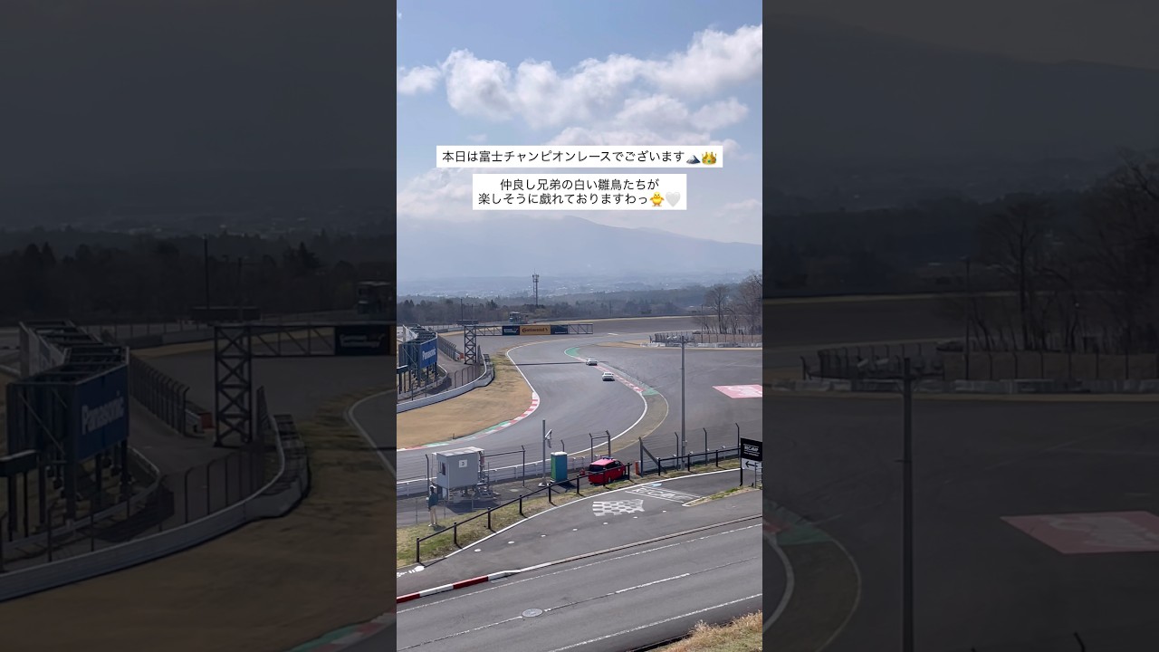 86で刺激的なランデブー♡ #shorts #racing