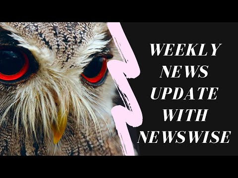 Top Research News Stories With Newswise