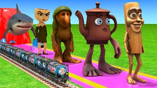 Long Slide Game With Cow Elephant Gorilla Hippopotamus Tiger 3d Animal Game Funny 3d Animals