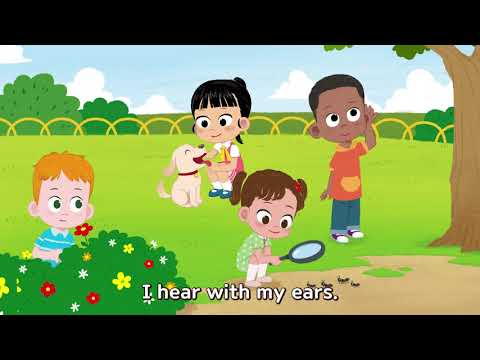 Little Hands 2 Unit 5 Song - My Senses