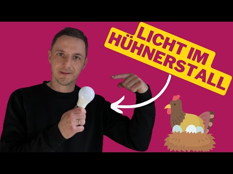 LED Licht im Hühnerstall -  Flickerfrei und ohne Stress !