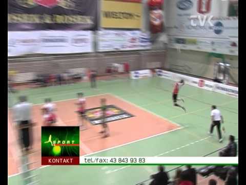 Siatkarz Wieluń - Cuprum Lubin