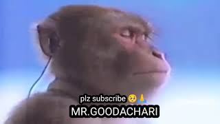 Download lagu #nibba ,lali lalo🤣😂🤣😂 mp3 Download lagu #nibba ,lali lalo🤣😂🤣😂 mp3