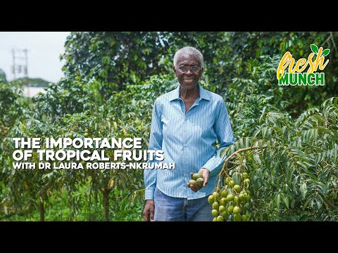 The Importance Of Tropical Fruits with Dr Laura Roberts-Nkrumah