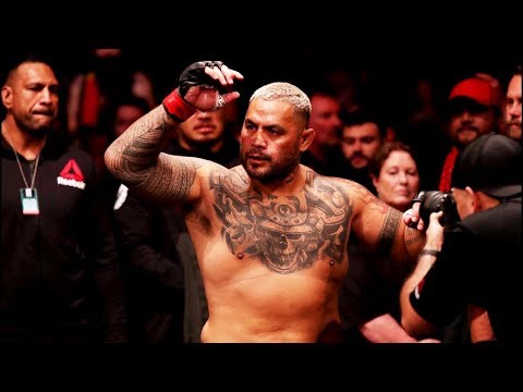 UFC Fighting spirit Mark Hunt Highlights