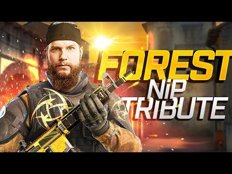 F0rest BEST PLAYS in NiP (Tribute Movie)
