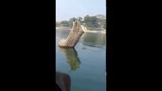 preview picture of video 'the ninja monkey at the kaptai lake'