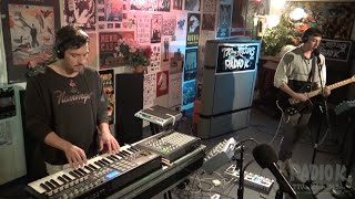 Painted Palms - &quot;Disintegrate&quot; (Live on Radio K)