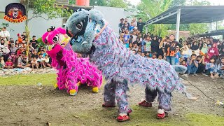 Download lagu LION DANCE !! Atraksi Barongsai Naga Damai Semarang live Cogeh Tlogorejo Demak | BarongBoys mp3