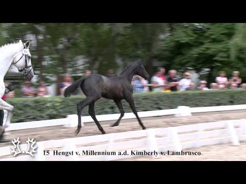 15  Hengst v  Millennium a d  Kimberly v  Lambrusco