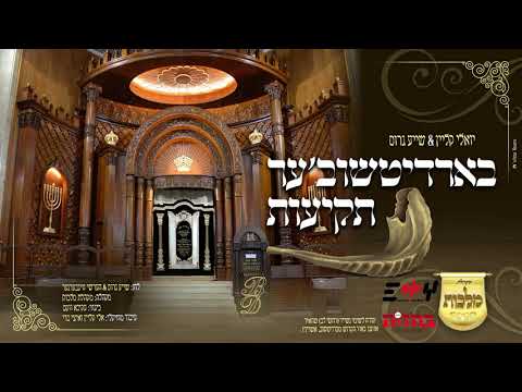 יואלי קליין & שייע גרוס - בארדיטשוב'ער תקיעות | Yoeli Klein & Shaya Gross