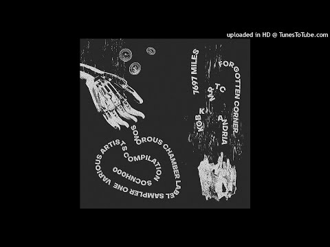 PREMIERE | MR TC - La Serre [Sonorous Chamber]