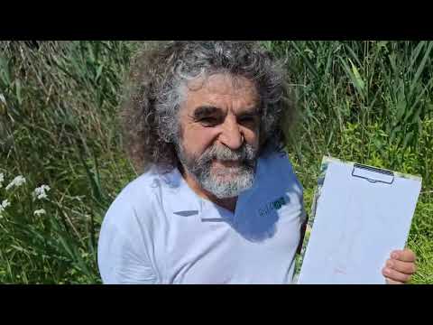 Botanikus a konyhában - 332. Morfológiai izgalmak 1.