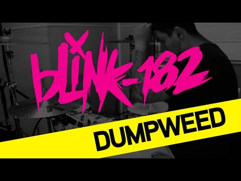 Blink-182 - Dumpweed | TMTT Show | Drum cover