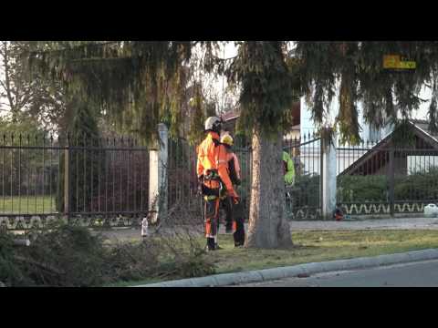 Büki Hírek 2016. december 20. VI. évfolyam, 51. szám