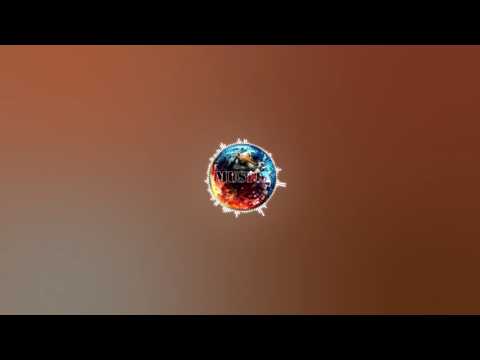 Sun Records 2-Stefan Netsman