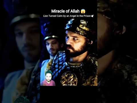 Miracle of Allah 😱 Lion Turned Calm by an Angel in the Prison 🦁 #shorts #miracle #allah