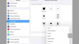 Customise the Assistive Touch Menu for use with a Head Tracking Device on an iPad