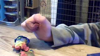 BoB gets a big bruise