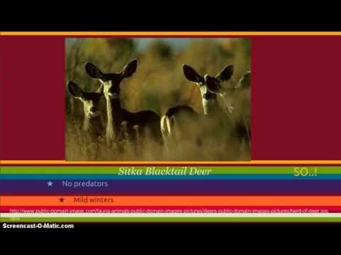 Reasons to hunt on Haida Gwaii!!