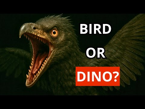 This Strange Dinosaur Might Be the True First Bird!