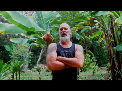 Osvrt na događanja UFC 299