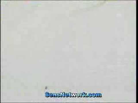 Robitaille's goal vs Hurricanes - Jan 17/08