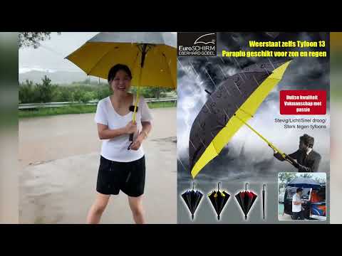 Die ultimative Regenschirm-Erfahrung