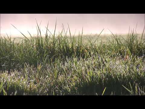 Enrique Granados Twelve Spanish Dances, Op. 37 - IV. Villanesca