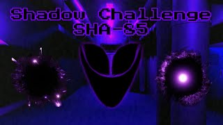 Defeating Shadow-85 Very Fast In Rooms Found Footage Renovated