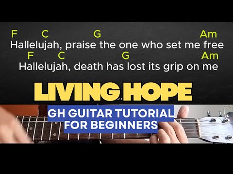 A Living Hope - Vineyard