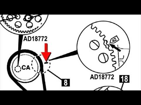 Dayco - How to Replace a Timing Belt on a Volkswagen Jetta