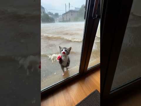 Phillies land All-Star closer Jhoan Duran ahead of MLB trade deadline 😿❤‍🩹