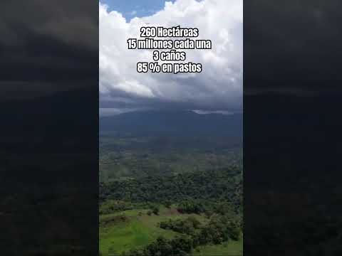 Aguazul Casanare 🚨vendo finca ganadera #casanare #ventacasa #caballos