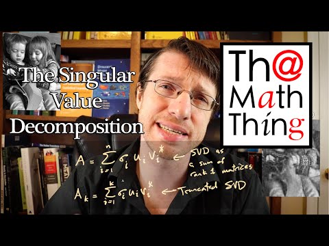 Understanding Everything from Data - The SVD