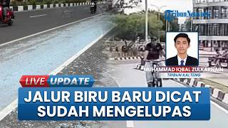 Soroti Cat Mengelupas, Warga Kritik Proyek Jalur Biru di Kota Palangka Raya: Anggaran Ratusan Juta
