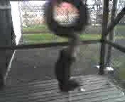 Tajfun  moja bestja (amstaf w akcji)