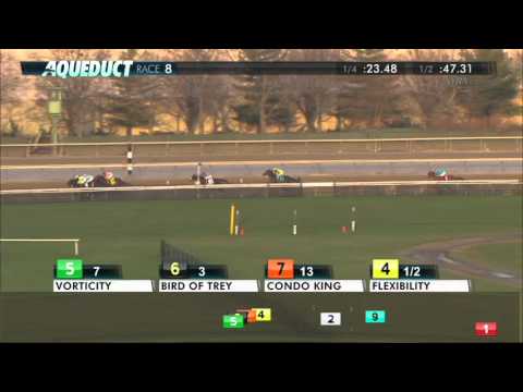 Flexibility - 2016 Jerome Stakes