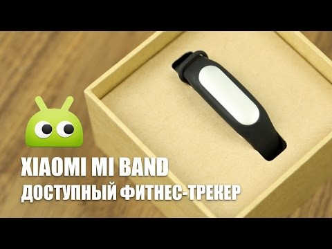Обзор Xiaomi Mi Band (black)