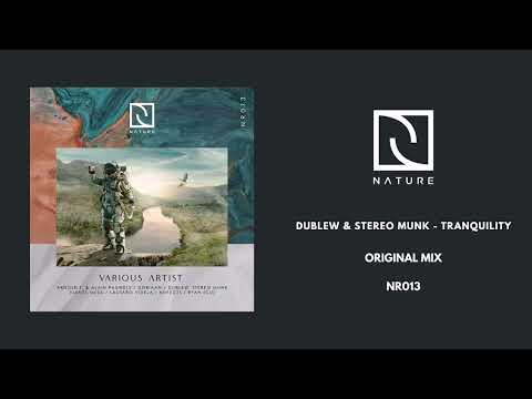 Dublew & STEREO MUNK - Tranquility (Original Mix)
