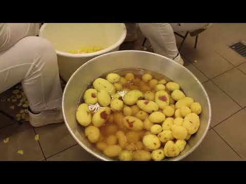 757 éves Tápiószecső! - Szecső Születésnapja 2021