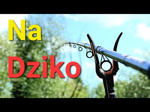 Na Dziko! Method Feeder i Bomb Feeder w krzakach  Wędkarstwo feederowe na PZW