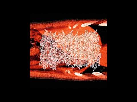 Beurre - Resonate And Amplify (Full Album)