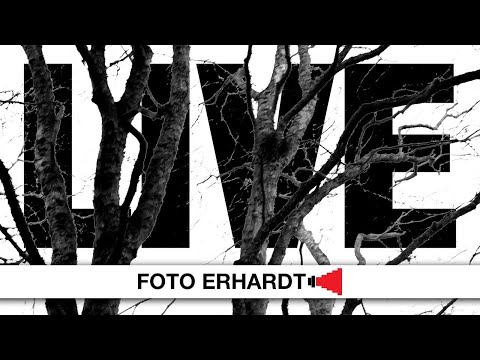 Foto Erhardt LIVE - Thema: f/8.0 | 1/10s