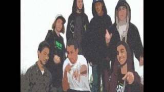 Sono Vero - Blood Hound