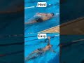 How to Swim Backstroke Efficiently  Easy vs Hard Backstroke Technique Explained