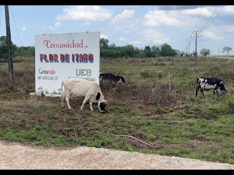 Flor de Itabo, un batey pobre de Mayabeque