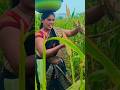 Moti Aunty Ki Big Navel Deep Hot Aunty Bhojpuristatuscreatio New