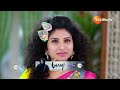 Trinayani | Ep - 1212 | Webisode | Apr, 13 2024 | Chandu Gowda And Ashika Gopal | Zee Telugu - Video